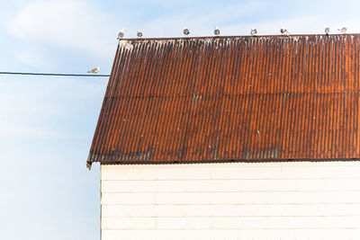 Low angle view of seagulls perching on house roof