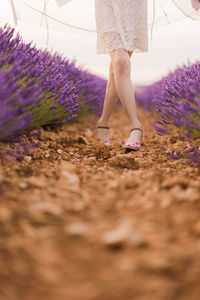 Low section of woman standing on wet land