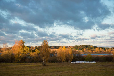 Scenic view of field and trees against sky during autumn