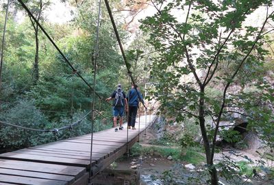 Rear view of people walking on footpath in forest