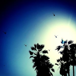 Low angle view of birds flying against sky