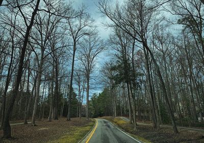 Road amidst trees in forest against sky