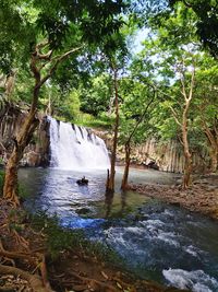 Scenic view of waterfall in forest