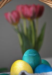 Close-up of colorful easter eggs on plant