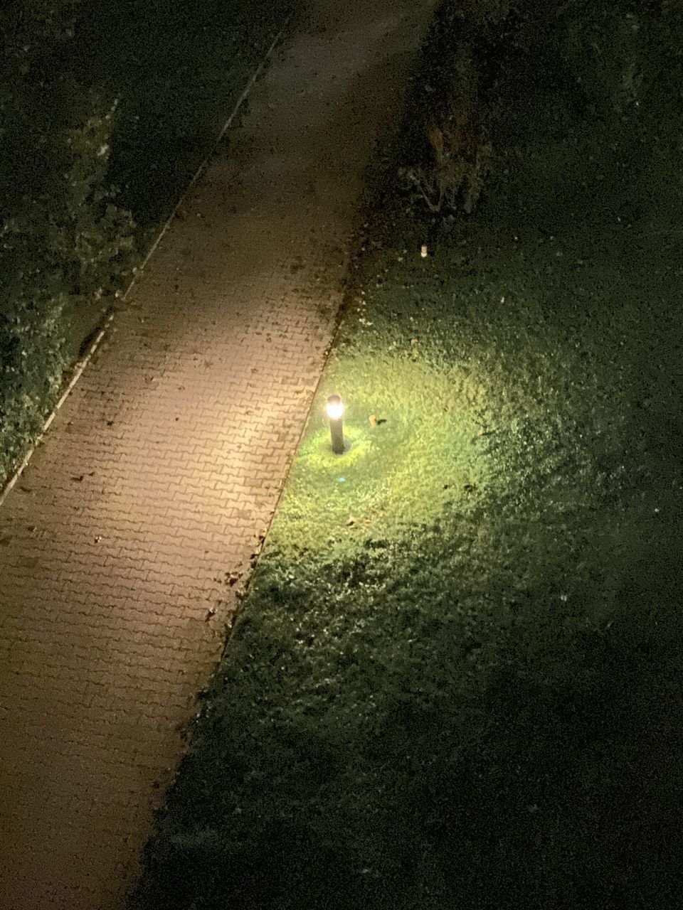 HIGH ANGLE VIEW OF ILLUMINATED BALL IN GRASS