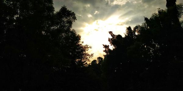 Low angle view of silhouette trees against sky during sunset