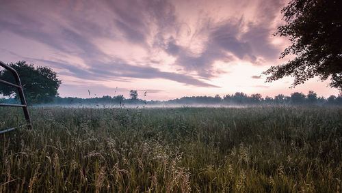 Scenic view of field against sky during sunset