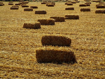 High angle view of hay bales on field