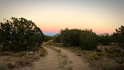 Dirt road amidst trees against sky