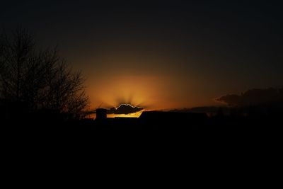 Silhouette of trees at sunset