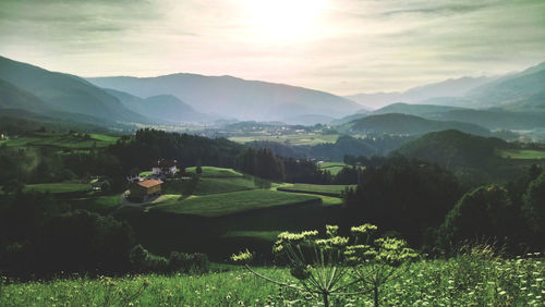 Scenic view of grassy field against cloudy sky