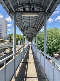 Bridge against sky in city