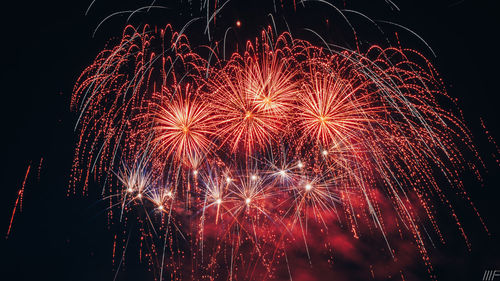 Low angle view of firework display at night