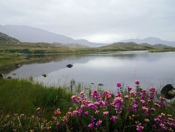 Scenic view of lake against cloudy sky