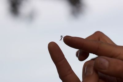 Close-up of insect on finger against clear sky