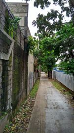 Street amidst trees against sky