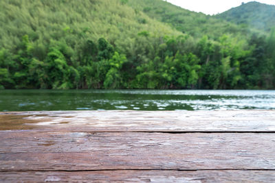 Scenic view of lake in forest