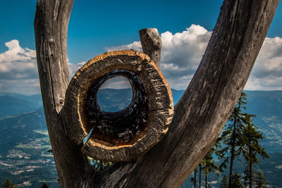 Close-up of tree trunk against sky