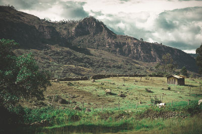 Scenic view of field and mountains against sky