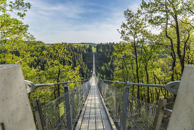 On the geierlay bridge - moersdorf - rhineland-palatinate - germany