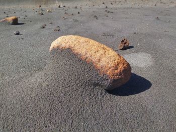 Rocks at sandy beach