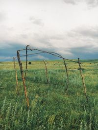 Scenic view of field against sky