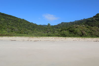 Scenic view of landscape against blue sky