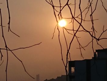 Low angle view of silhouette tree against orange sky