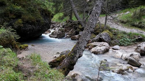 Stream flowing through rocks in forest