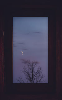 Silhouette tree against sky at night