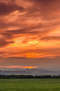 Scenic view of field against orange sky