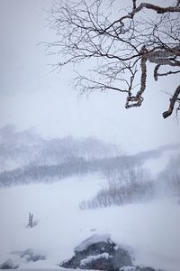 Bare tree against sky during winter