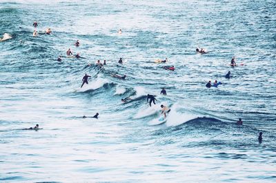 High angle view of people surfing in sea