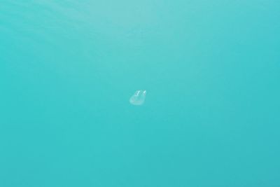 Low angle view of tree against blue sky