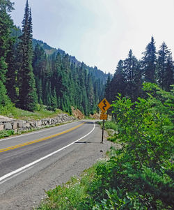 Road by trees against sky