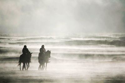 People with horses at desert