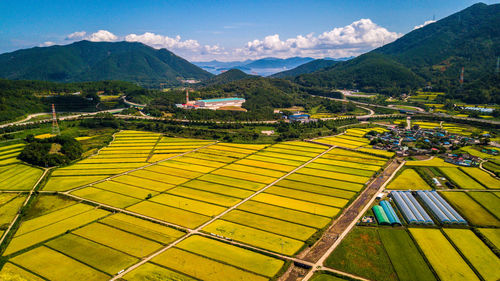 High angle view of agricultural field against sky