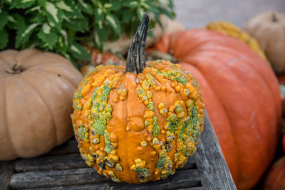 Close-up of pumpkins on table at market