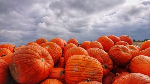 Stack of pumpkins for sale