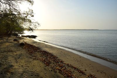 Scenic view of sea against clear sky during sunset