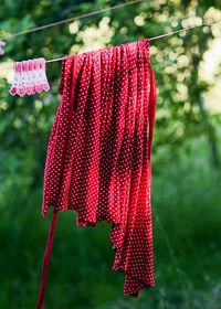 Close-up of red hanging drying on plant in back yard