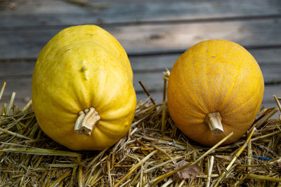 Close-up of oranges on table