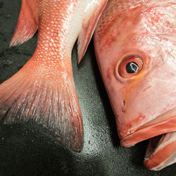 Close-up of fish for sale in market