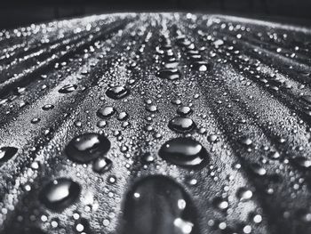 Close-up of wet bench at night during monsoon