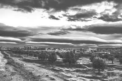 Buildings and trees against dramatic sky