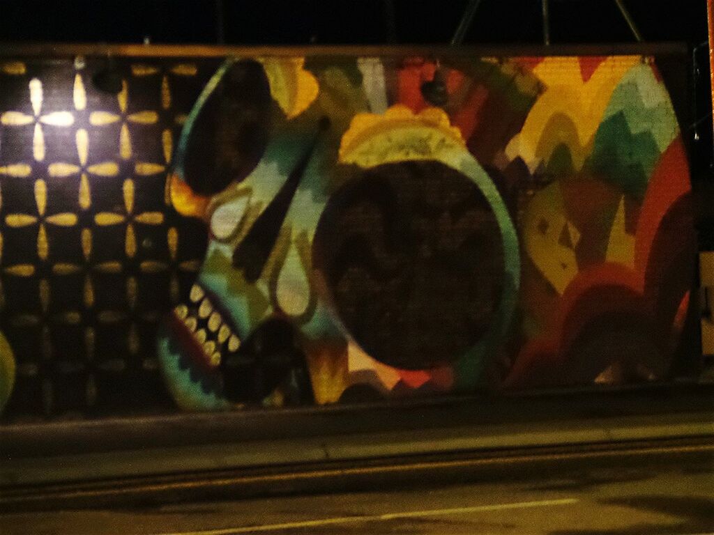 CLOSE-UP OF MULTI COLORED CAT AT NIGHTCLUB