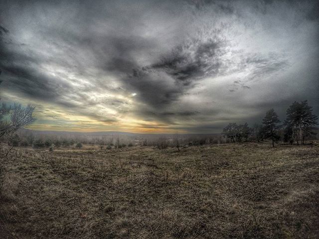 sky, tranquil scene, tranquility, cloud - sky, scenics, landscape, cloudy, beauty in nature, sunset, nature, field, tree, weather, cloud, overcast, idyllic, non-urban scene, dramatic sky, growth, outdoors