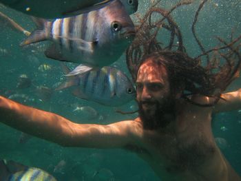 Close-up of man swimming in aquarium