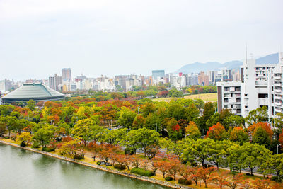 Plants and trees by buildings against sky during autumn