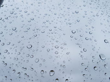 Close-up of water drops on leaf